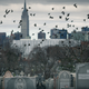 Image for article titled American Lifespans Won't Get Much Longer by 2040, Report Finds